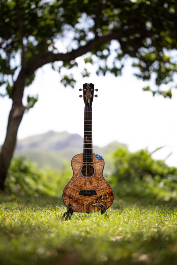 $5,000 Prize Package Sweepstakes Entry - Wai a Ka Nēnē - Image 3
