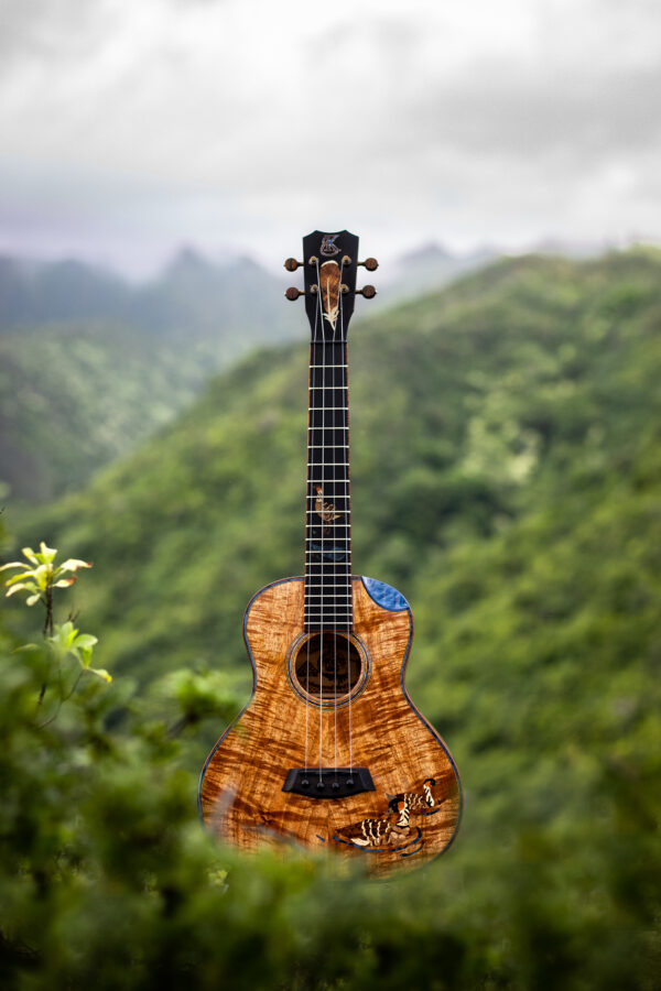 $5,000 Prize Package Sweepstakes Entry - Wai a Ka Nēnē - Image 2